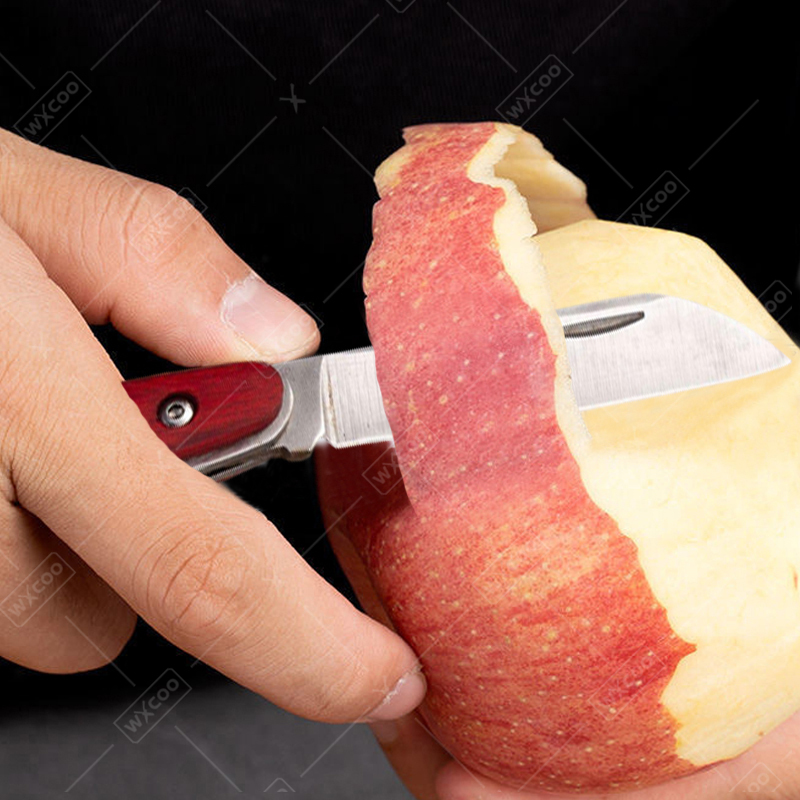 سكين جيب من الفولاذ المقاوم لل - مراجعة Kitchen Gadgets Latest وسعره