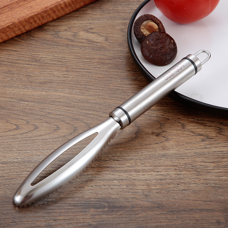 موازين السمك غير القابل للصدأ  - مراجعة Kitchen Gadgets For Seniors وسعره